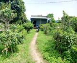 Ngộp Quá Bán Nhanh-Đất Thôn 2-Hàm Liêm-Lâm Đồng-10.300m2+11.400m2