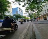 PHỐ THÁI HÀ –  105M2 - 7 TẦNG - MT 5M  - GIÁ 53 TỶ.