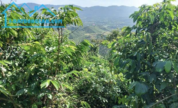 Bán đất vườn view săn mây đồi bát úp Phạm Hồng Thái Đại Lào ( phường 3) Bảo Lộc. 🆘 GIÁ RẺ