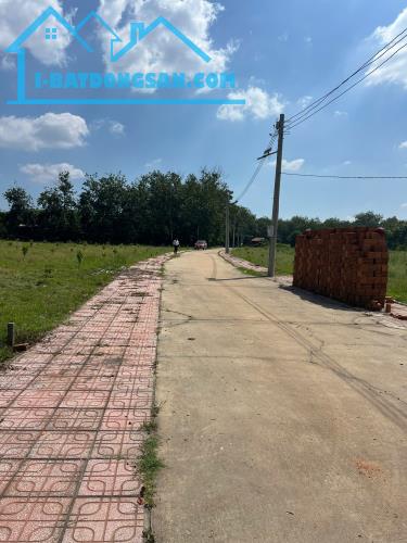 Bán đất thổ cư 250m2, MT đường An Bình 60, An Bình, Phú Giáo, Bình Dương. Giá 680tr, Sổ - 1