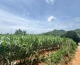 Bán 1077M_250M đất ở có 2 mặt tiền, thế đất cao thoáng Cao Phong_Phú Thọ (Hoà Bình cũ)_880
