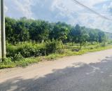 CẦN SANG LẠI VƯỜN MÍT 20X53=1060M2 THỔ CƯ SHR MT ĐƯỜNG NHỰA SÁT CHỢ DÂN ĐÔNG GIÁ 750 TR