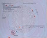 BÁN ĐẤT VƯỜN KIỆT QUỐC LỘ 9- CAM HIẾU