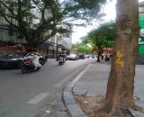 Bán nhà Hoàng Hoa Thám, Ba Đình 30m2, 5 tầng, MT 4.2m, 8.8 tỷ.