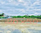 ĐỊNH CƯ SANG ÚC CẦN SANG LẠI 1000M2 ĐẤT SHR LIỀN KỀ CHỢ, ỦY BAN, TRƯỜNG HỌC GIÁ 360 TRIỆU