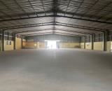 Bán kho xưởng 23 tỷ, 15x67m, mặt tiền đường Bông Văn Dĩa, xã Tân Nhựt,Bình Chánh