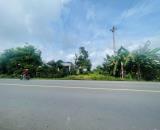 CẦN SANG LẠI MÃNH VƯỜN CÓ SẴN NHÀ CẤP 4 DT 2550M2 THỔ CƯ- XÃ PHƯỚC THÀNH TPHCM GIÁ 600 TR