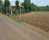 CẦN SANG LẠI MÃNH VƯỜN CÓ SẴN NHÀ CẤP 4 DT 2550M2 THỔ CƯ- XÃ PHƯỚC THÀNH TPHCM GIÁ 600 TR