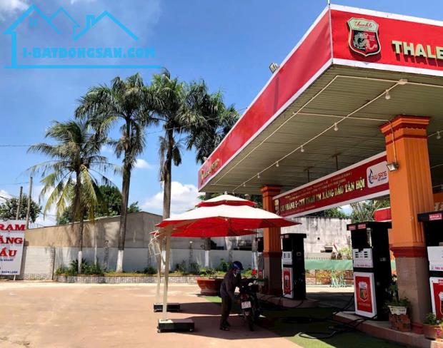KẸT TIỀN BÁN GẤP 20X40=800M2 ĐẤT THỔ CƯ SHR NGAY TRUNG TÂM SÁT CHỢ, TR.HỌC. GIÁ 170TR - 3