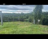 Bán vườn bưởi 1500m  2mặt tiền HL7 Tân Bình, Vĩnh Cửu. 20x70m. Giá 8 tỷ