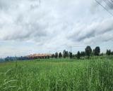 BÁN ĐẤT CÔNG NGHIỆP SKC TẠI TRÀ VINH 10.000m2, 20.000m2, 30.000m2 - SỔ SÁCH HOÀN CHỈNH