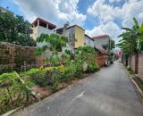 Siêu đẹp, bán đất Dương Quang Gia Lâm 42m -nhỉnh 3 tỷ thương lượng- mặt tiền rộng- ô to
