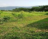 SỞ HỮU NGAY LÔ ĐẤT ĐẸP - GIÁ TỐT - Vị Trí Đắc Địa Tại Thôn Lâm Trường, Xã Minh Phú, Huyện