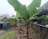 BÁN ĐẤT HÒA LẠC SÁT ĐẠI LỘ THĂNG LONG, TUYẾN METRO, LÕI KHU CNC HÒA LẠC ĐỐI DIỆN FPT.