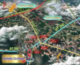 ĐẤT ĐẸP TRỪ VĂN THỐ – BÀU BÀNG | GIÁ ĐẦU TƯ CHỈ 3,8 TRIỆU/M²