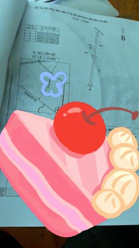 Bán đất tặng nhà, Tô Nguyệt Đình, Hắc Dịch, Phú Mỹ 1650M2 Thổ Cư Chỉ 7T - 1