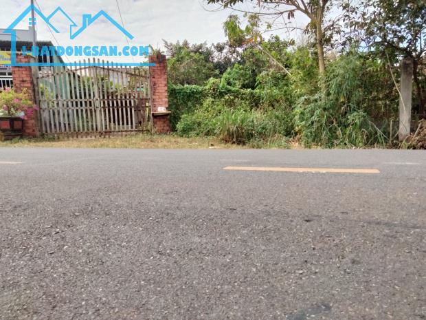 Bán đất tặng nhà, Tô Nguyệt Đình, Hắc Dịch, Phú Mỹ 1650M2 Thổ Cư Chỉ 7T - 5