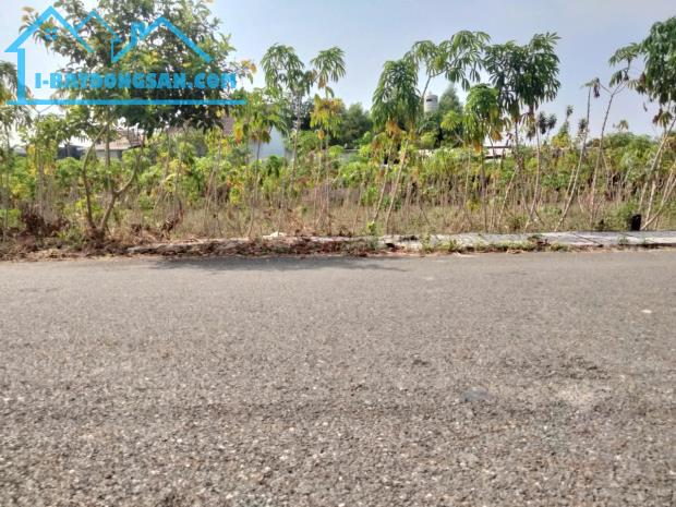 Rẻ bất ngờ, gần Chợ Hắc Dịch, Phú Mỹ, 5*30, 60 Thổ Cư, chỉ 1.4T - 2