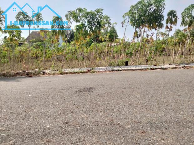 Rẻ bất ngờ, gần Chợ Hắc Dịch, Phú Mỹ, 5*30, 60 Thổ Cư, chỉ 1.4T - 4