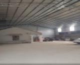 cho thuê kho xưởng tại Ninh Sở, Thường Tín, Hà Nội. Diện tích 560m xưởng cao 8 m giá 25