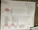 CẦN BÁN GẤP CHỦ NGỘP NHÀ XƯỞNG 256M2 CHỈ VỚI 1,5 TỶ NGAY TRUNG TÂM LONG ĐIỀN BRVT