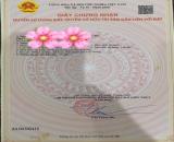 Bán đất Tân Phong - Kiến Thụy - Hải Phòng