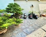 🔥 NGỌC HÀ – BA ĐÌNH | 150TR/M² – NHÀ RỘNG, CÓ SÂN VƯỜN ĐẸP NHƯ BIỆT THỰ! 🌿  💎 Diện tích