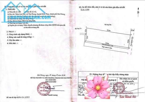 Bán đất Tân Phong - Kiến Thụy - Hải Phòng