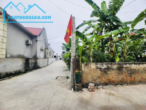 Bán đất Tân Phong - Kiến Thụy - Hải Phòng - 2