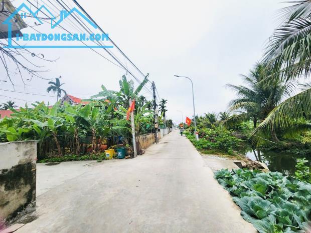 Bán đất Tân Phong - Kiến Thụy - Hải Phòng - 3