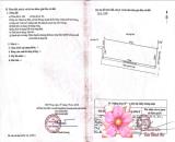 Bán đất Tân Phong - Kiến Thụy - Hải Phòng
