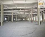 Cho thuê nhà xưởng mới xây dựng tại KCN Long Khánh – Đồng Nai 52.815 m²