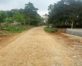Chính chủ bán 148m² đất ở lâu dài tại Thạch Bình (Thạch Thành cũ), Thanh Hóa, giá 4,9tr/m²