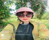 🎑 BÁN ĐẤT - MẶT ĐƯỜNG - THÀNH TÔ 🎑 ➖➖198m2 (GIÁ 2019) CHỈ 5.75 TỶ➖➖