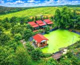ĐỒNG NAI Bán Farm 2.5ha với đầy đủ tiện ích, nguồn thu quanh năm cách QL20 11km giá 16tỷ