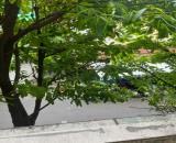 Cần Bán Căn Hộ Chung Cư Lầu 1 Ngay MT/hẻm Trần Quang Diệu, Phường 13, Quận 3