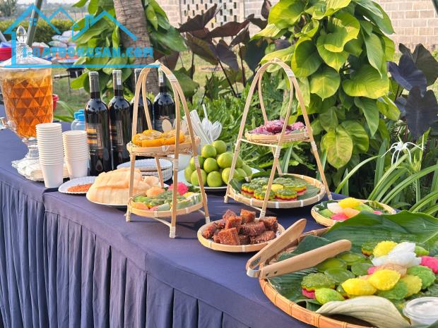 Cao Tốc Thông Xe 2026 – Giá Đất Sẽ Bùng Nổ! AVANA Tropic Villa - 5