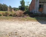 Sốc, hơn 310M2, Thổ Cư Cách Chợ Hắc Dịch, Phú Mỹ 1Km chỉ 1.5T