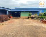 CHO THUÊ NHÀ XƯỞNG ĐỒNG PHÚ, BP - 10.000m²