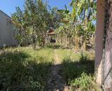 CHÍNH CHỦ bán đất tại ấp 5 Xã Phú Giáo, TP.HCM (Khu phố 5, thị trấn Phước Vĩnh)