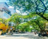 BÁN GẤP NHÀ ĐỘI CẤN TT BA ĐÌNH MỚI KOONG THANG MÁY FULL NỘI THẤT DÒNG TIỀN 60 TRIỆU / THÁN