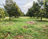 Cơ Hội Vàng Đầu Tư – Đất Mặt Tiền TP.HCM (BRVT cũ)