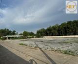 Cho thuê nhà xưởng Phước Hòa, Phú Giáo, Bình Dương 10.000m²