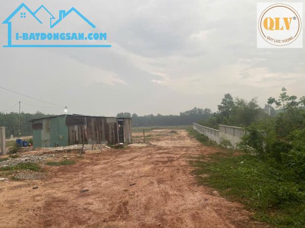 Cho thuê nhà xưởng Vĩnh Hòa, Phú Giáo, Bình Dương 28.330m² - 3