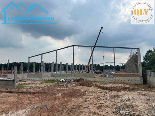 Cho thuê nhà xưởng Vĩnh Hòa, Phú Giáo, Bình Dương 28.330m² - 2