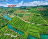 📍 Bán gấp đất view hồ Làng Omm – Phường 2, Bảo Lộc