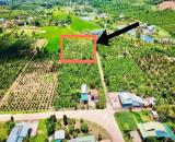 Bán đất đường xe hơi Nguyễn Bỉnh Khiêm, Thôn 3, Xã Ea Kar, Đắc Lắc