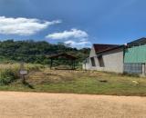 ĐẤT ĐẸP – GIÁ TỐT – CHÍNH CHỦ CẦN BÁN LÔ ĐẤT TẠI  TDP .Nghĩa Hoà, TP. Gia Nghĩa, tỉnh Đắk