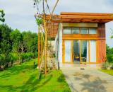 Nhà vườn 200m2, cho A/C muốn nhà rộng rãi ven SG, SHR, Giá 1 tỷ 250, Xã Tân Thông Hội.