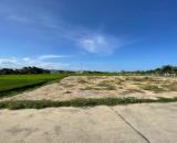 BÁN ĐẤT PHƯỜNG NINH HÒA (NINH ĐA CŨ) – GẦN CHỢ CHIỀU MỸ LỆ GIÁ BÈO HƠN THỊ TRƯỜNG